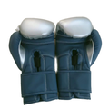 High Density Leather Boxing Gloves - Blue+Silver